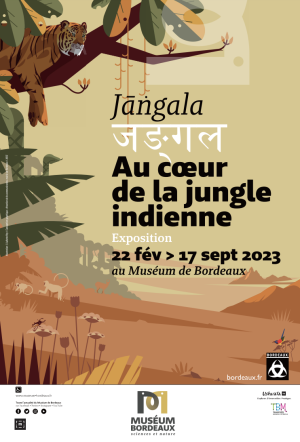 Jangala, au cœur de la jungle indienne