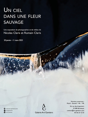 Un ciel dans une fleur sauvage