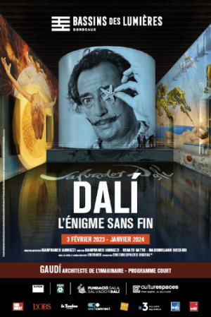 Dalí, l'énigme sans fin