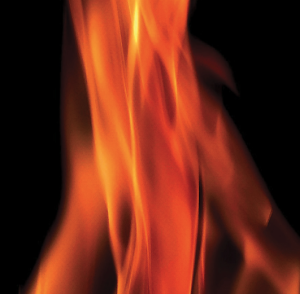 BRUT Cuisine à 1000°C