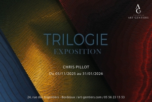 Chris Pillot – TRILOGIE : Indigo, Rouge, Jaune