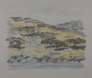 Olivier Brochet – Dessins de l’architecte