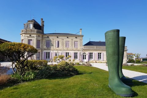Image de la conférence