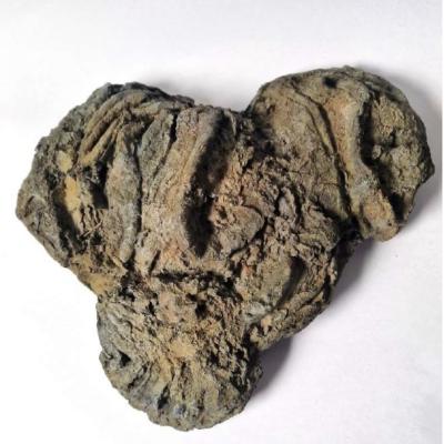 Image de l'événement