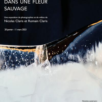 Image de l'événement