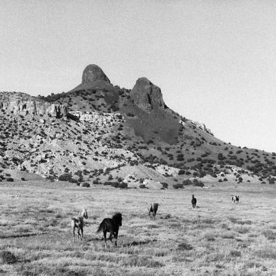 Image de l'événement