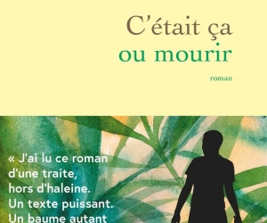 Image de la chronique