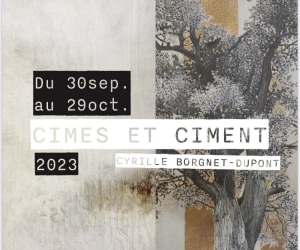 Image de la chronique