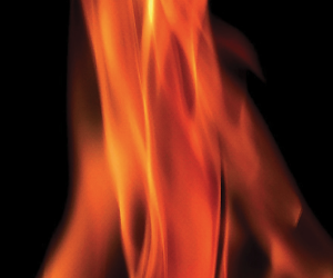 Image de la chronique