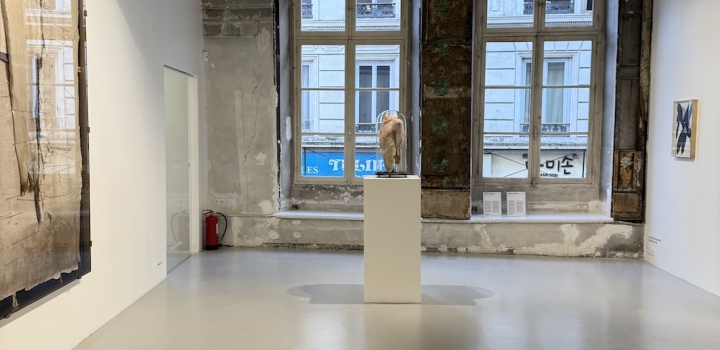 Image de la conférence