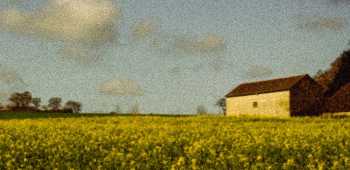 Image de la conférence